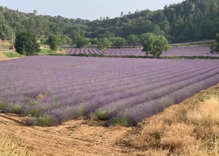Location de vacances Rians haut Var